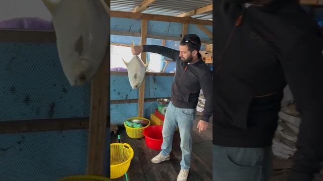 Пиранья Самая Опасная пресноводная Рыба #еда #shortsvideo #рыба #travel #рыбалка