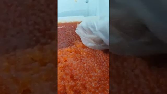 Рыба оптом ООО Импульс(1) смотреть онлайн