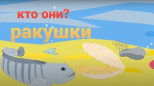 Мультфильм про ракушку. Как моллюск создает свою защиту от врагов.