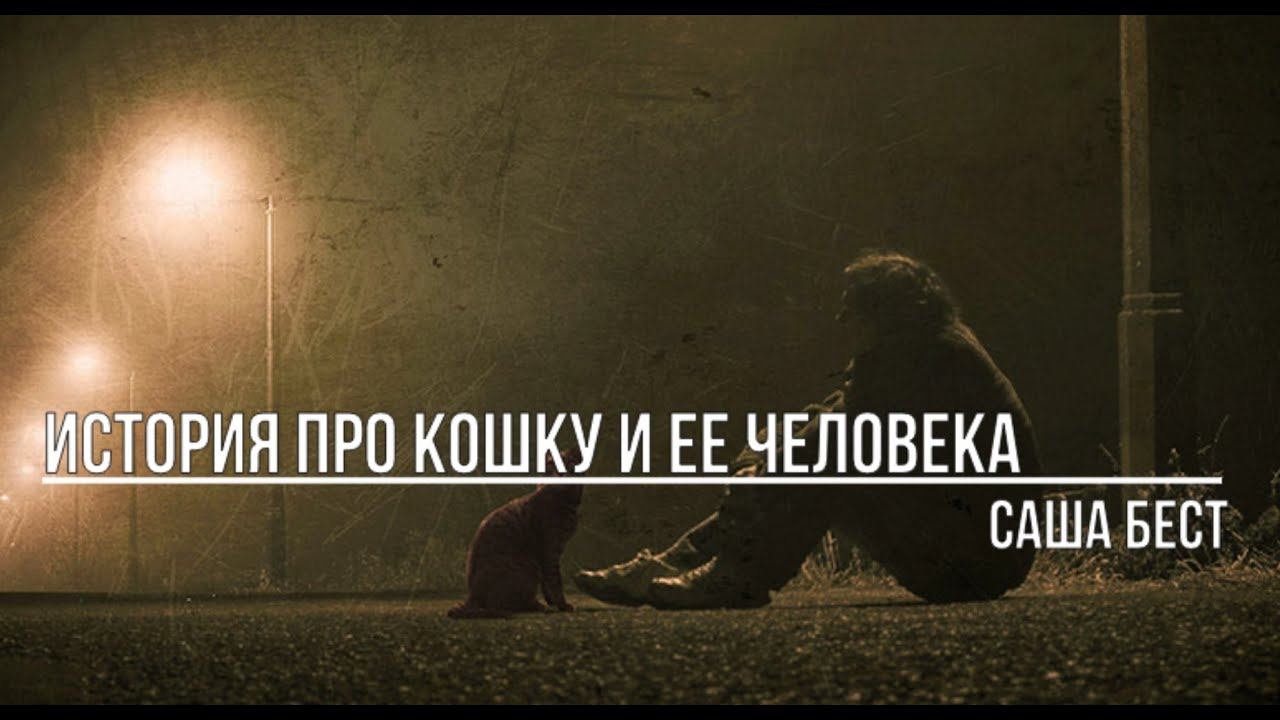 История про Кошку и ее Человека