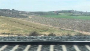 Скоростной  поезд Аликанте - Мадрид | Alicante - Madrid tren