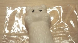 ОБЗОР НОВОГО СКВИША! НОВЫЙ КОТИК?