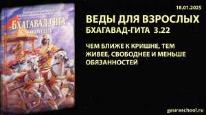 Веды для взрослых. Бхагавад-гита 3.22