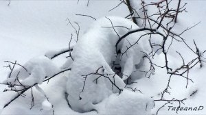 Дело было перед Крещением Лесная сказка.