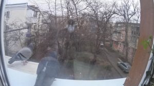 С ПРАЗДНИКОМ ДОБРЫЕ ЛЮДИ .