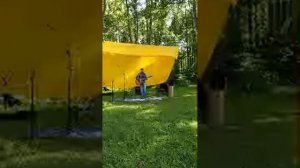 Музыкальный кролик в прямом эфире!