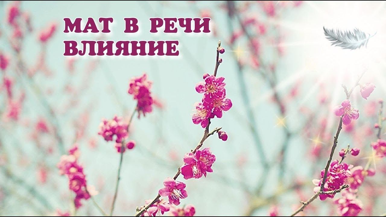 МАТ В РЕЧИ. ВЛИЯНИЕ НА ЭНЕРГОСТРУКТУРУ. #воспитание #контактер #мир #4d