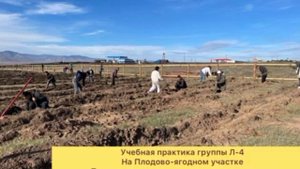 Презентация специальности "Лесное и лесопарковое хозяйство" Тувинского агропромышленного техникума
