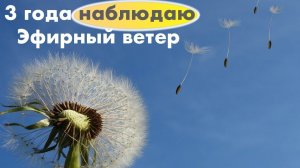 Теория относительности: 3 года наблюдаю эфирный ветер