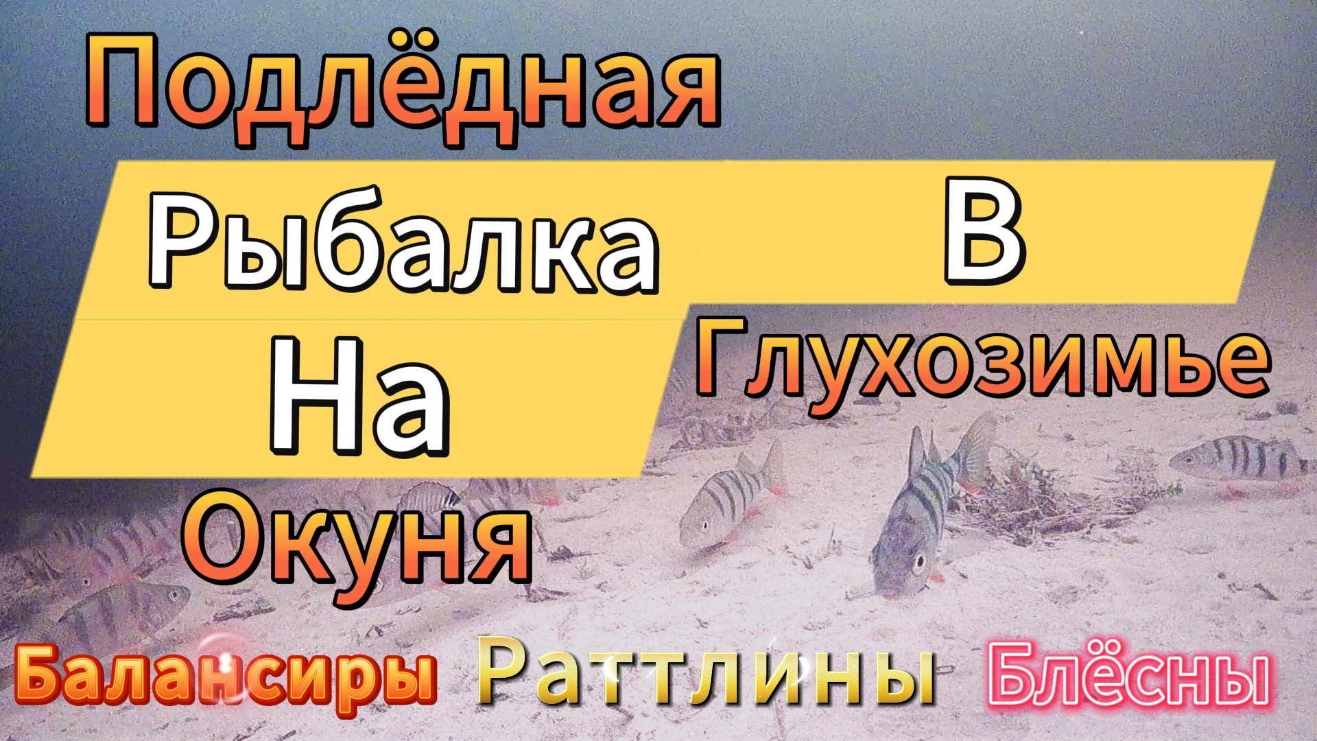 ЖИЗНЬ ЧУДНОЕ И СТРАННОЕ ПОВЕДЕНИЕ ОКУНЯ В ГЛУХОЗИМЬЕ ЯНВАРЬ 2025 ГОДА УВИДЕЛА ПОДВОДНАЯ КАМЕРА