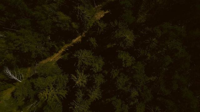 Загадочное исчезновение Тэмми Кингери смотреть онлайн