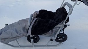 Светло-серые специальные санки для детей и взрослых с ДЦП