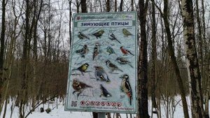 Прогулка через ландшафтный заказник "Тёплый Стан" от девятого микрорайона Тёплого Стана к восьмому