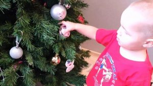 Самое НОВОГОДНЕЕ и МИЛОЕ ВИДЕО. Магия и фокусы творят чудеса в новый год!