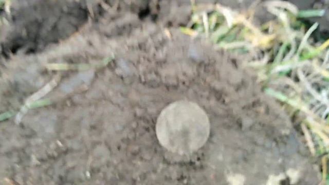 Коп 2019. Поляна монет!!! смотреть онлайн