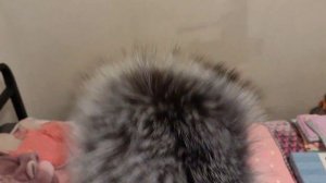 обзор моего товара который я  привезла с Харгос Китай #рек #подпишись