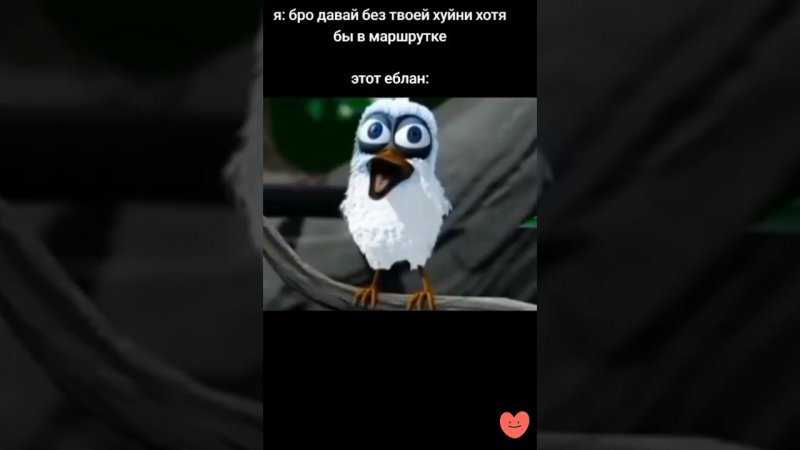 pov: твой друг #shorts #tiktok