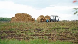 ВОТ ЭТО УРОЖАЙ КАРТОФЕЛЯ! ЗА РАЗ НЕ УВЕЗЛИ НА ТРАКТОРЕ | ПРО НАС НАПЕЧАТАЛИ СТАТЬЮ В ЖУРНАЛЕ