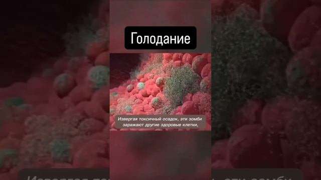 Проверено на себе. Занятия по йоге на канале #йога #голодание