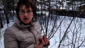 Зимний лес. Ива. Энергетические свойства