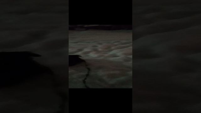 VID_20250119_185507.mp4