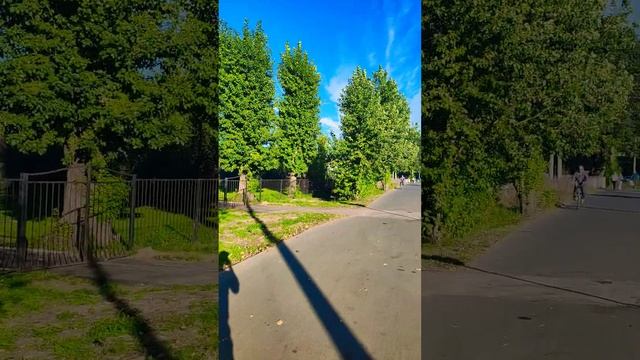 Великий Новгород, жаркая осень 2024 г.