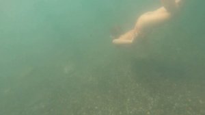 на море в Сочи 6 октября 24