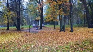 Заподозрив мужа в измене, жена решает проследить за ним. Но то, что она узнала, шокировало её!