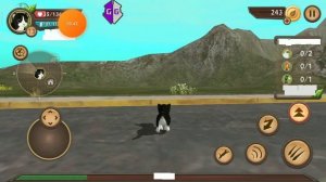 взломать game симулятор кошек