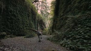 Dinosaurs Alive - Coelophysis, Redondasaurus, Postosuchus & Effigia