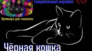 Премьера песни для танцпола "Чёрная кошка"