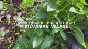 Sylvanian familes
Удивительное изобретение
Сильвания фемилис