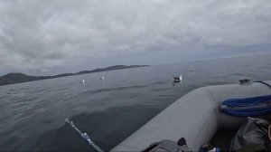 Морская рыбалка в Баренцевом море. Июнь 2024 года. Треска!