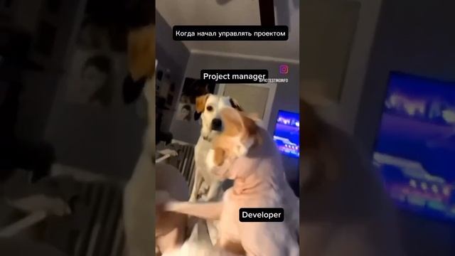 Баг или фича? #тестированиепо #тестировщик #тестировщикснуля #тестирование #qa #тестер #shorts смотреть онлайн