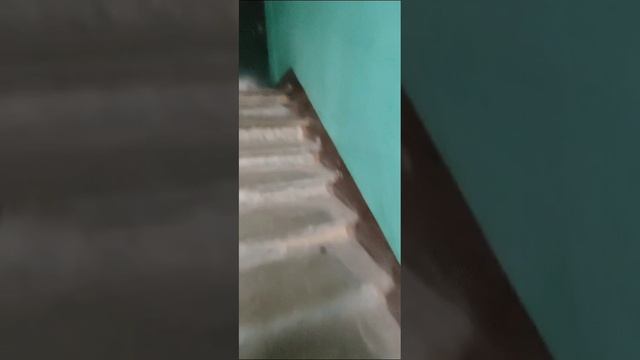 19-01-2025 смотреть онлайн