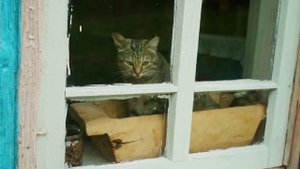 ДЕНЬ РОЖДЕНИЯ В ДЕРЕВНЕ | ТАКОЙ ПОДАРОК ОНА ТОЧНО НЕ ОЖИДАЛА | СЮРПРИЗ ПРЕВЗОШЕЛ ВСЕ ОЖИДАНИЯ