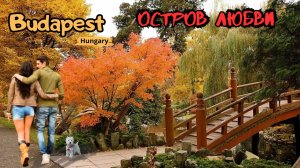 ₄к ОСТРОВ Маргит НА ДУНАЕ: наслаждайся СПОКОЙСТВИЕМ природы и ОТКРОЙ для себя НЕЗАБЫВАЕМЫЕ прогулки!