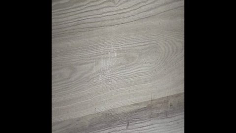 первая готовая работа этого года