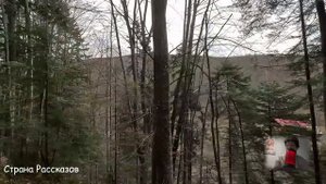 -Купим дом и оформим его на мою маму, так надёжней! Огорошил муж, но Тая не задумываясь...