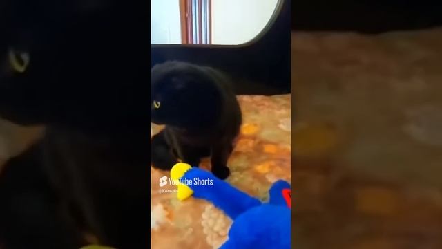 КОЛЬ-ОК (18) смотреть онлайн