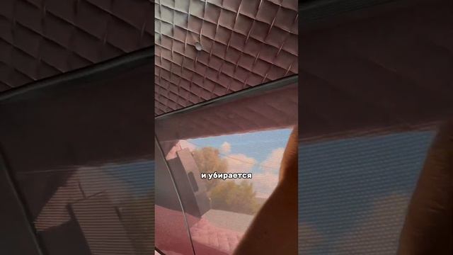 Какую москитную сетку выберете вы ? смотреть онлайн