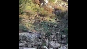 Байдарская долина