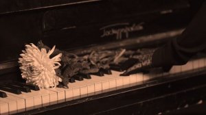 Людмила Соколова — Хризантема  (Посвящение Алисе Фрейндлих)