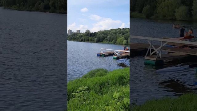 Миссис Салфеткис натворила дел:)