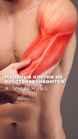 Нервные клетки не восстанавливаются! А мышечные? Школа Ходьбы на Протезах