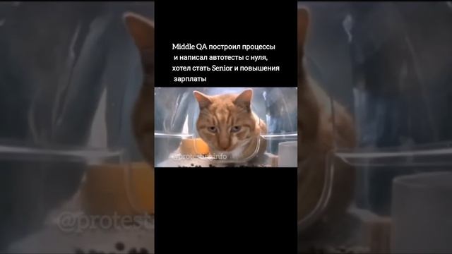 Тяжела судьбинушка #тестированиепо #тестирование #процессыснуля #тестировщик #shorts смотреть онлайн