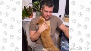 ИСТОРИЯ МЕЙН-КУНА ТЕО