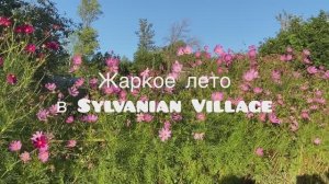 Sylvanian families 
Жаркое лето
Сильвания фемилис