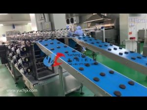 Chinese supplier full automatic cookies processing production line