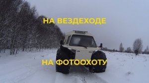 Вот Такая У Нас Зима Езжу На Вездеходе Проверяю Фотоловушку Лесные Зверьки Позируют